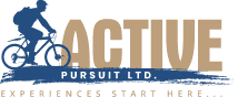 Active Pursuit Ltd