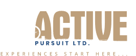 Active Pursuit Ltd